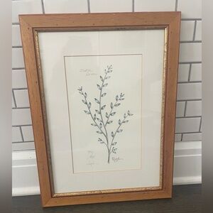 Signed & Numbered Lyndi Lende Botanical Print “Scotch Broom” – Framed Wall Art